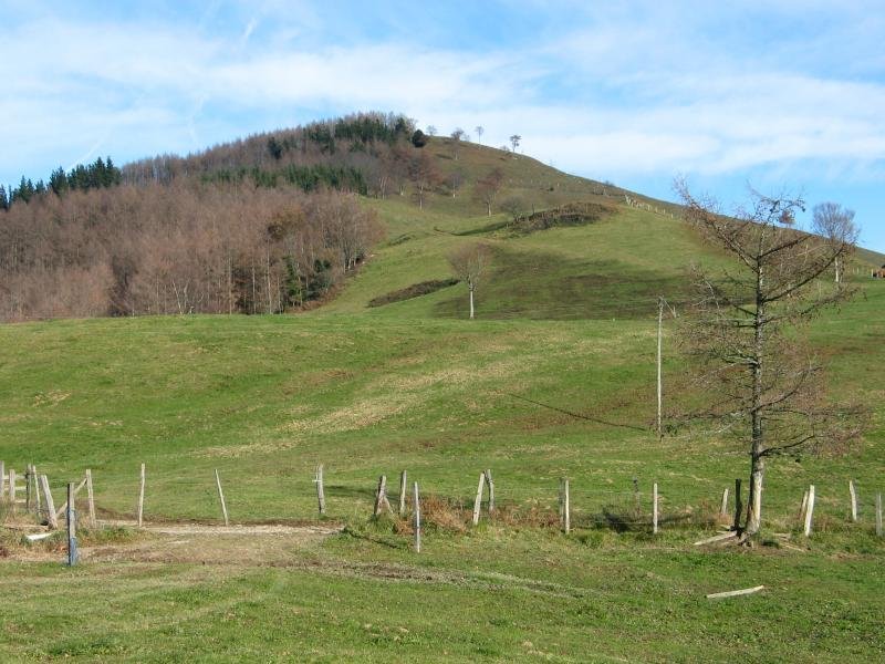 HMko bizkarra