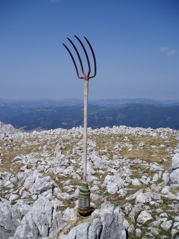 Buzoia