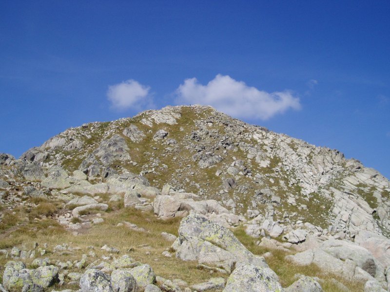 Tontorra