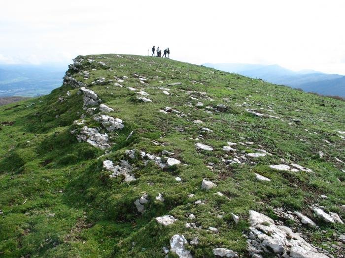 Tontorra