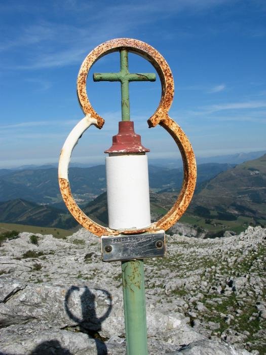 Buzoia
