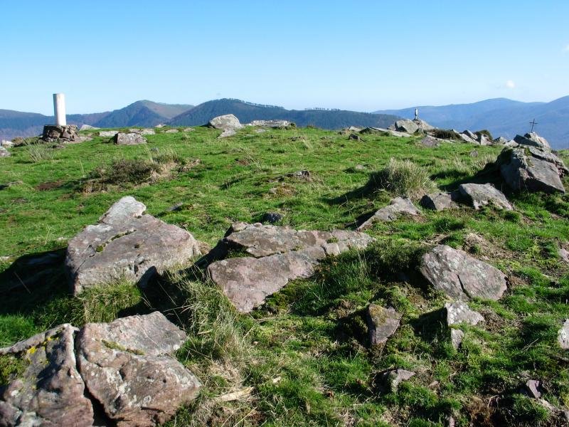 Tontorra