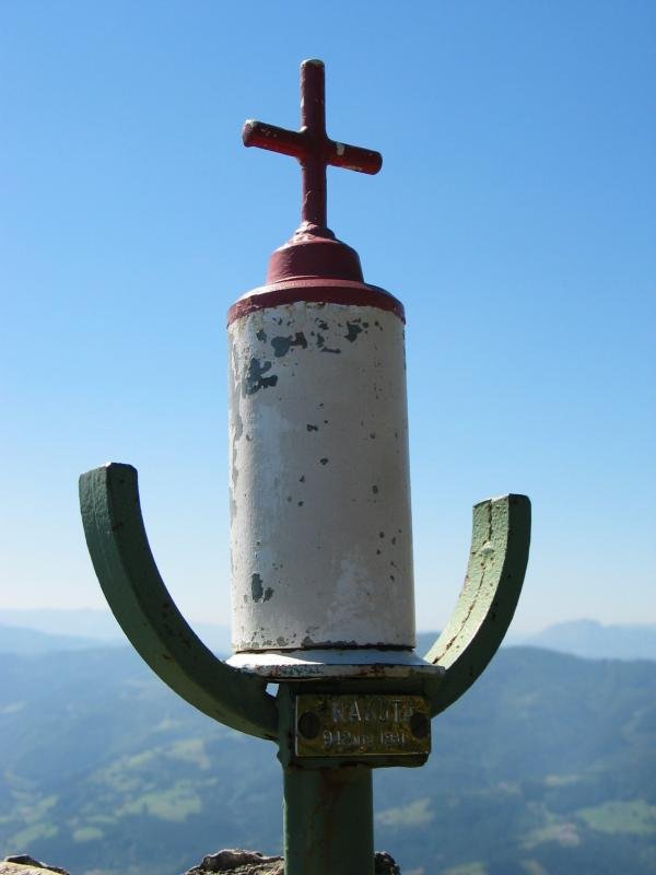 Buzoia