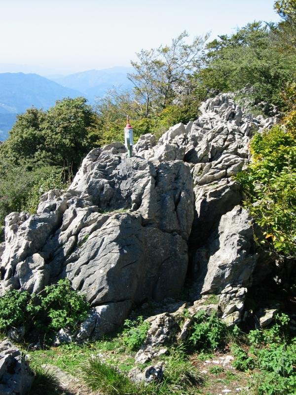 Buzoia eta inguruak