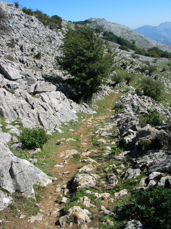 Ekialdeko bidea