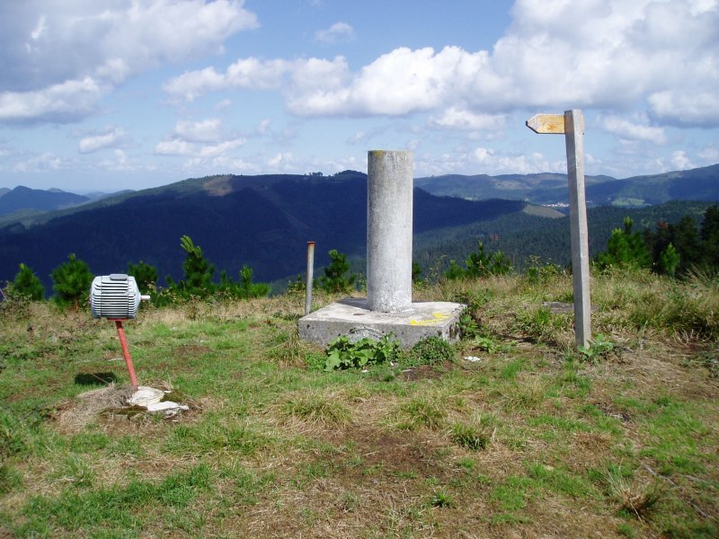 Tontorra
