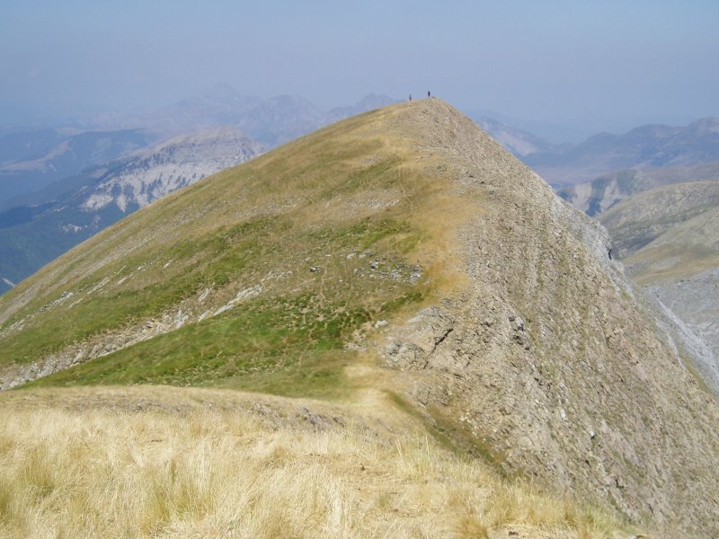 Tontor nagusia