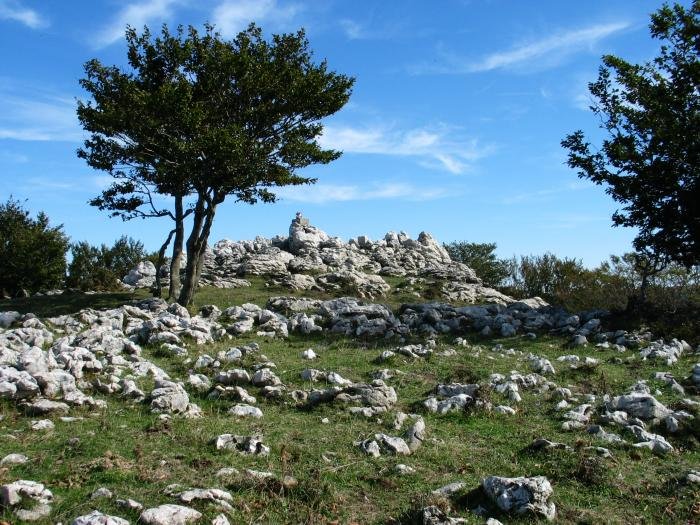 Tontorra