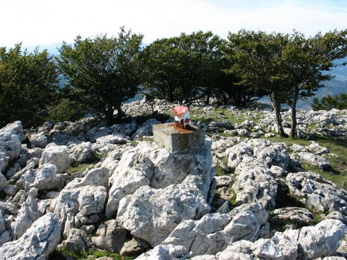 Tontorra