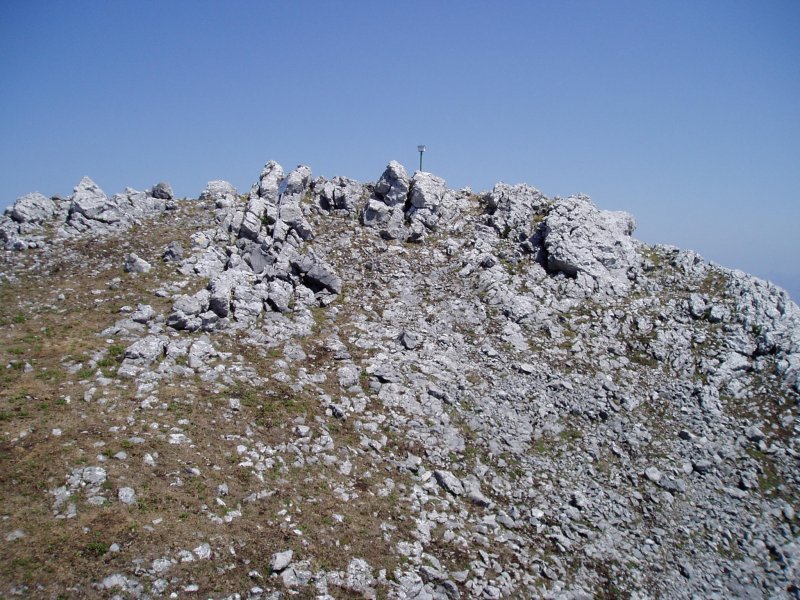 Tontorra