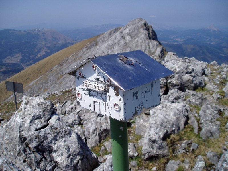Buzoia