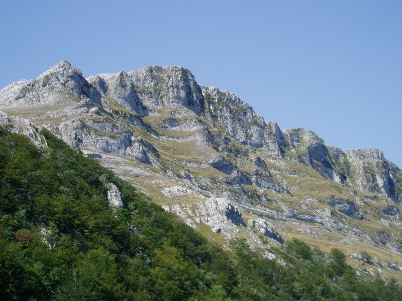Aginagatik ikusita