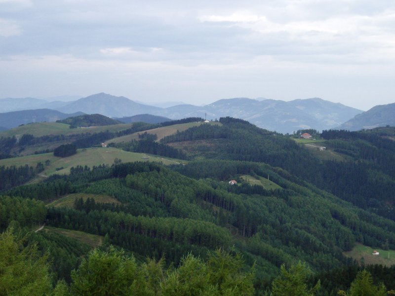 Irimotik ikusita