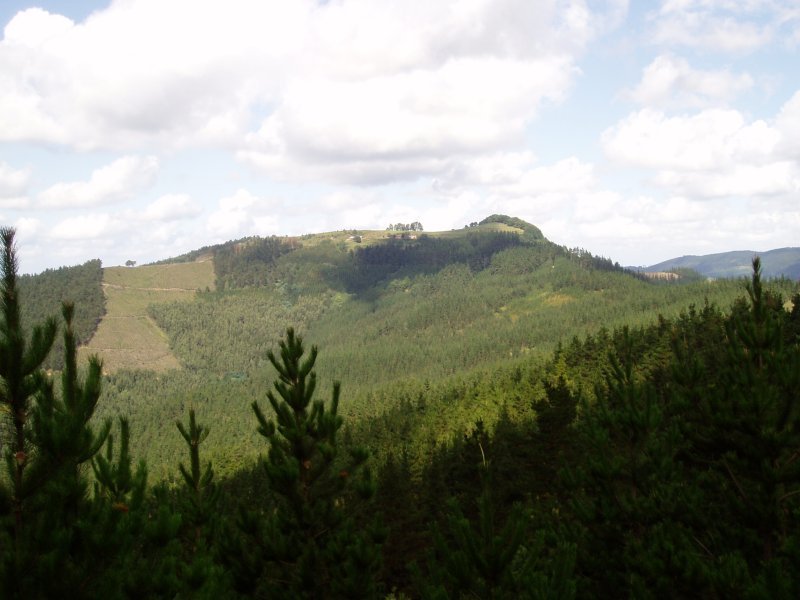 Hegoaldetik ikusita