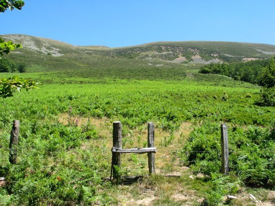 HMko isurialdea