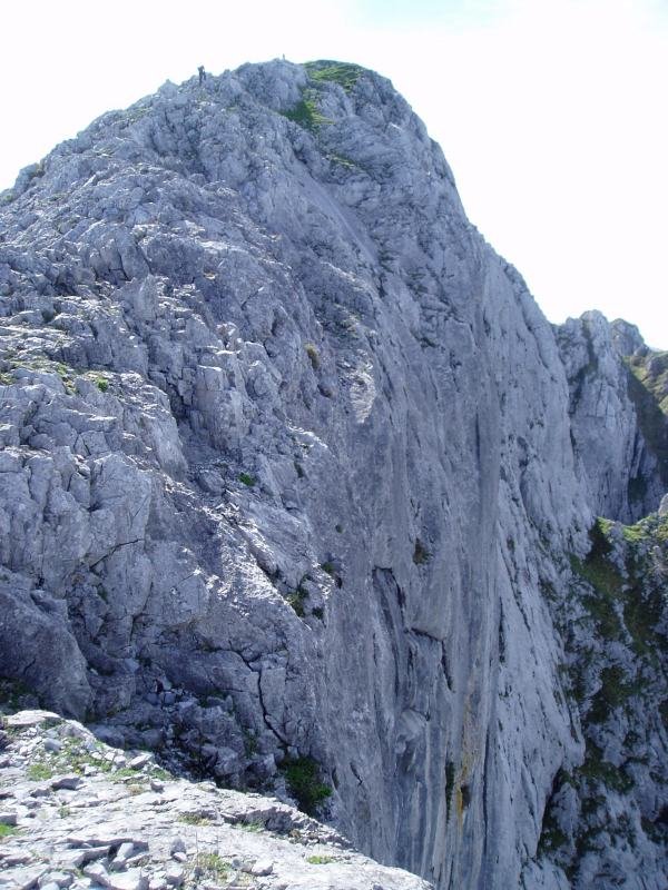 Tontorra