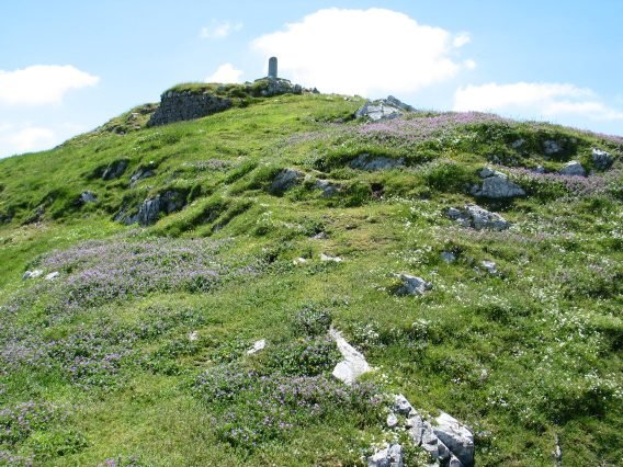 Tontorra Mtik