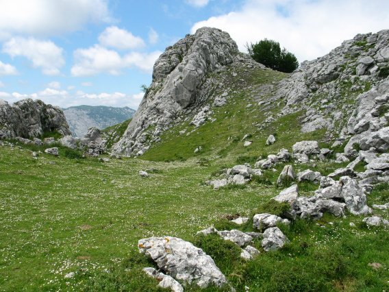Larrano