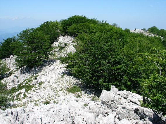 Gainaldeko ikusmira