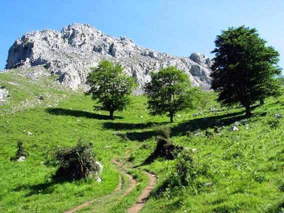 Artolako igoera