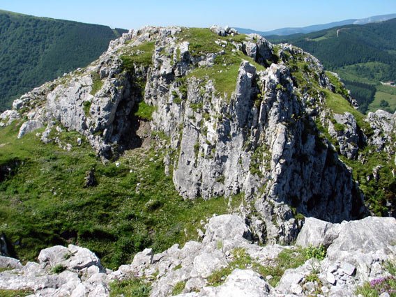 Tontorra