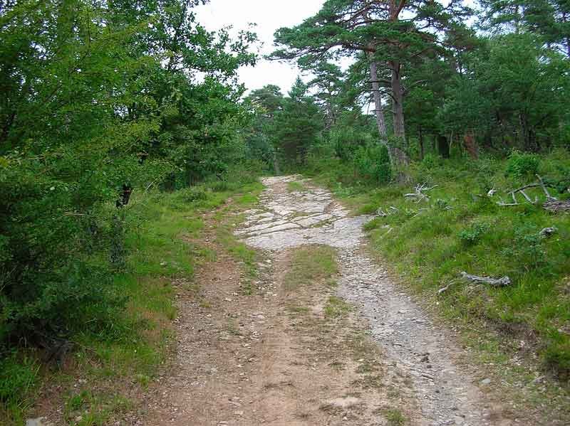 Desde el collado tomamos a la izquierda el sendero.