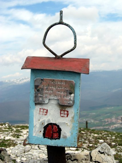Buzoia