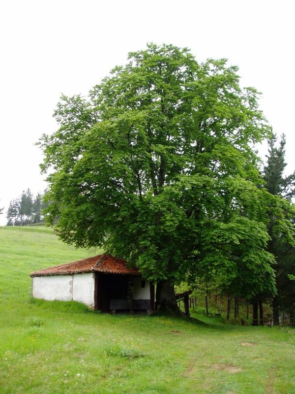 Santutxu ermita
