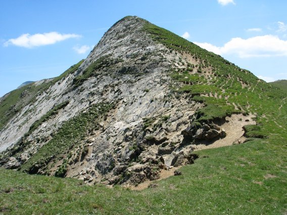 Tontorra Mtik