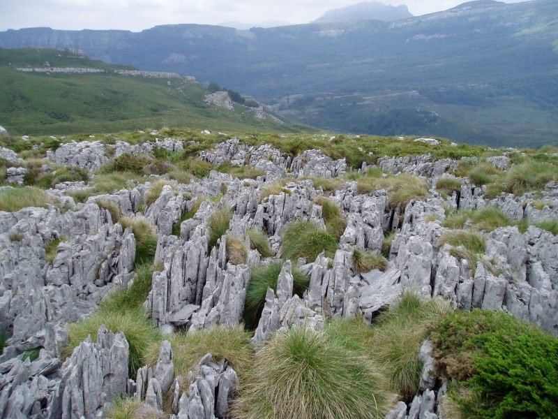 Karst eremua