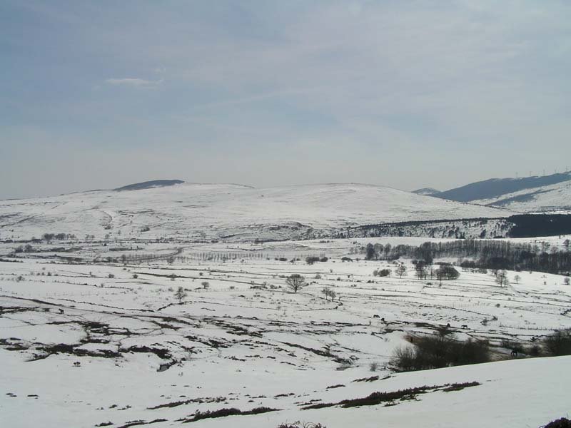 Valdeolea