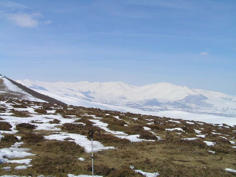 Cima