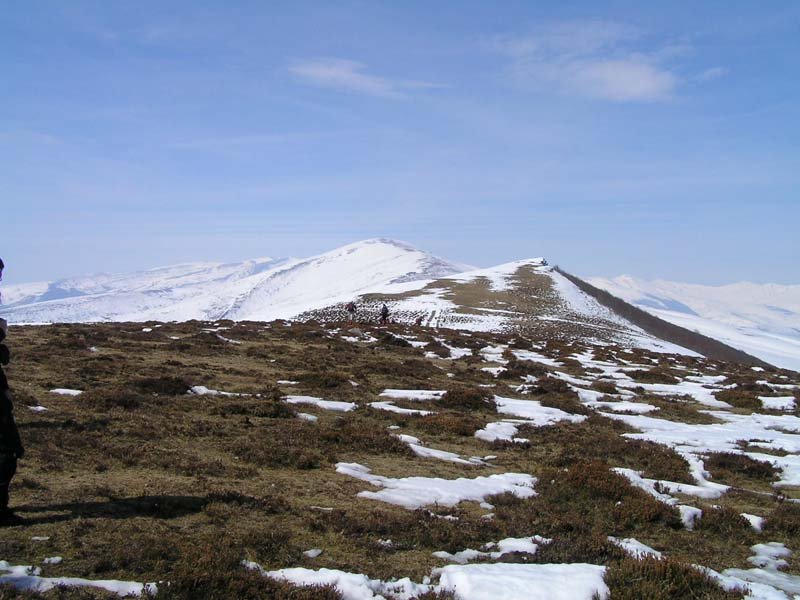 Cima