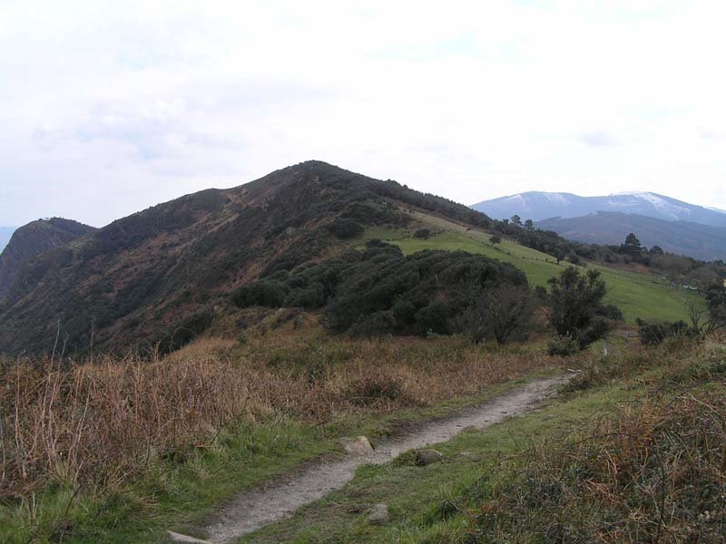 Camino