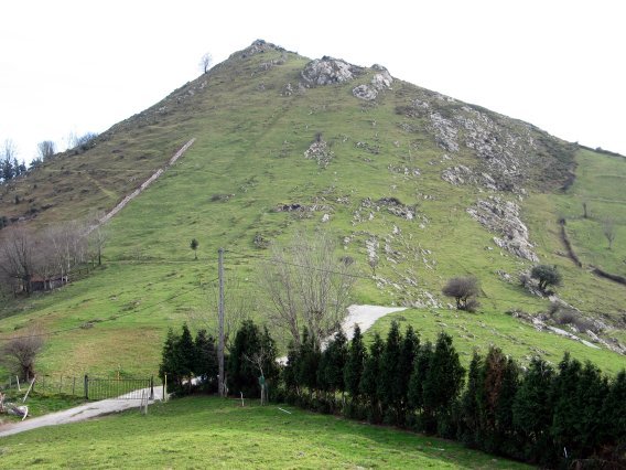 Mko isurialdea