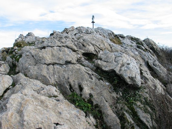 Tontorra