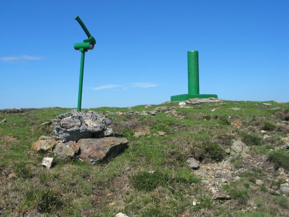 Buzoia eta erpina