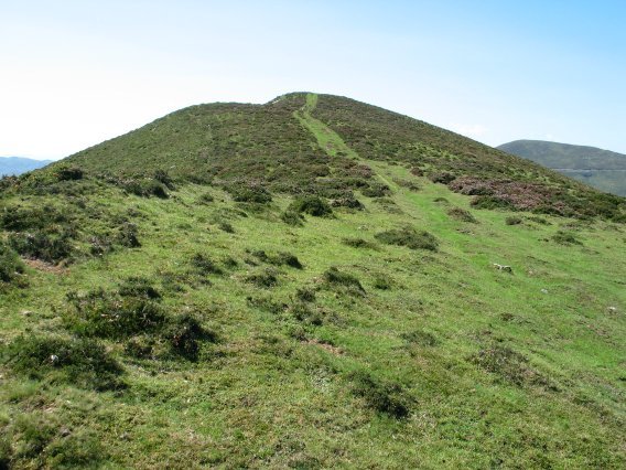 Gaina, Etik
