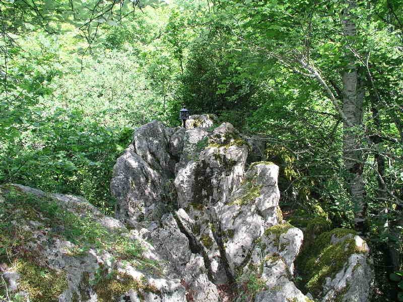 Tontorra