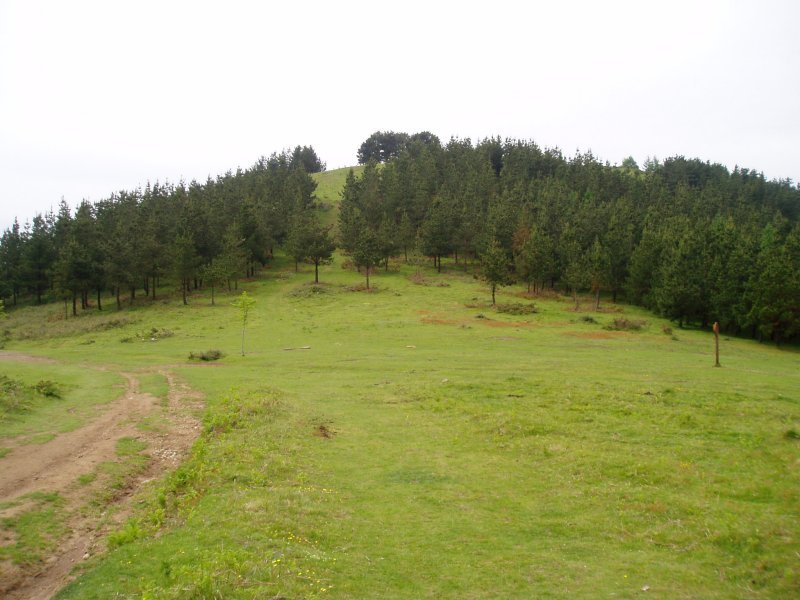Kalamuako laua