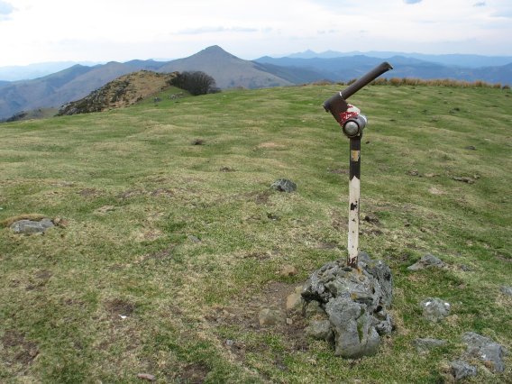 Tontor nagusia