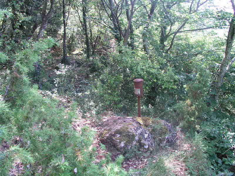 Tontorra
