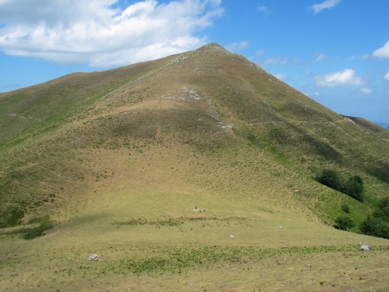 Mendieder