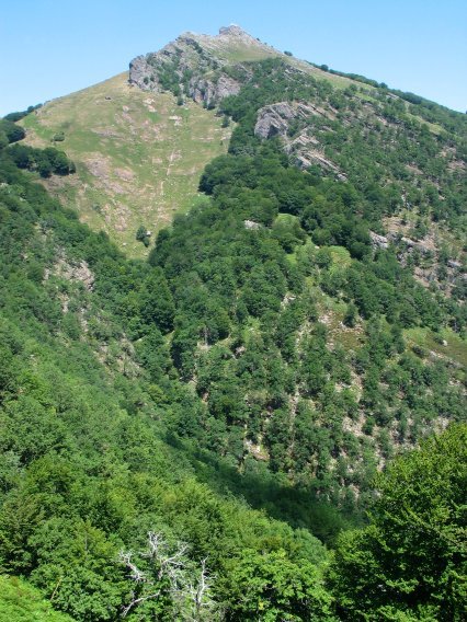 HMko isurialdea