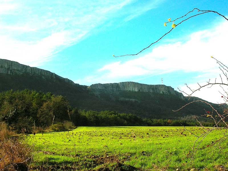Montemayor.