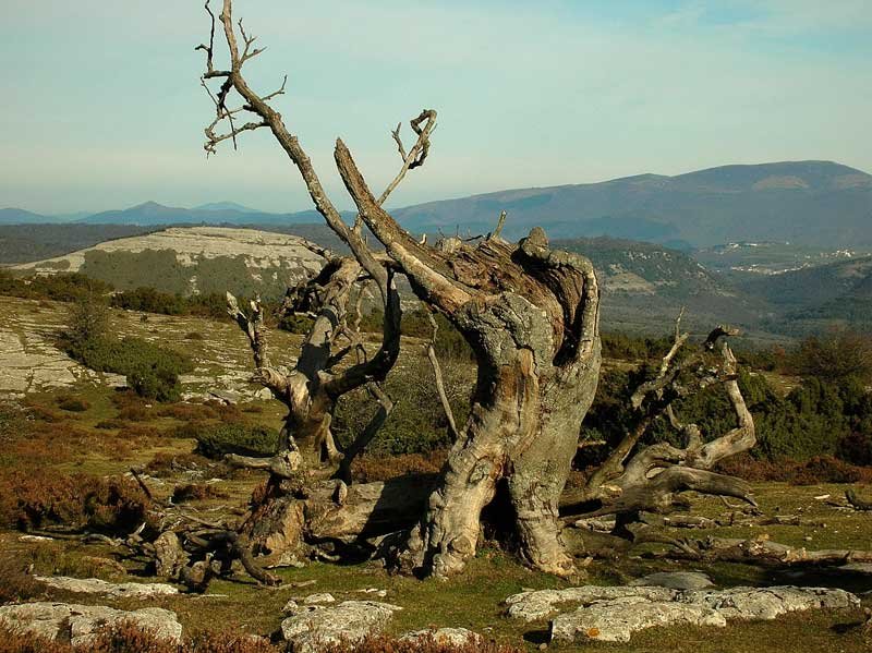 Sierra de Arkamu.