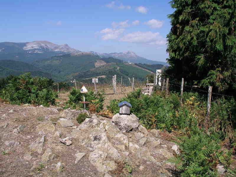 Tontorrak