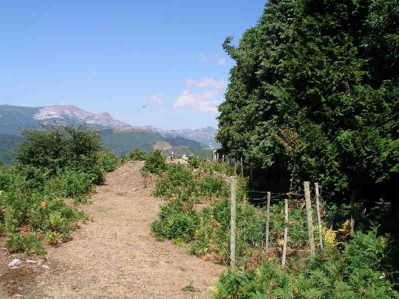 Tontorrak