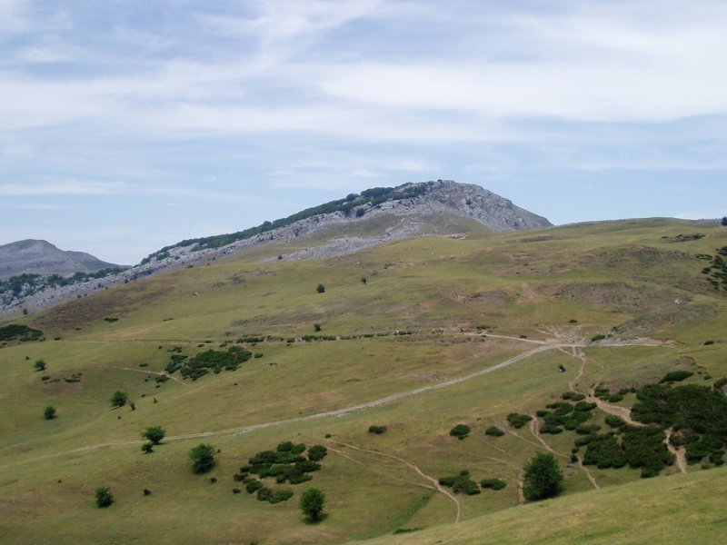Errenagatik ikusita
