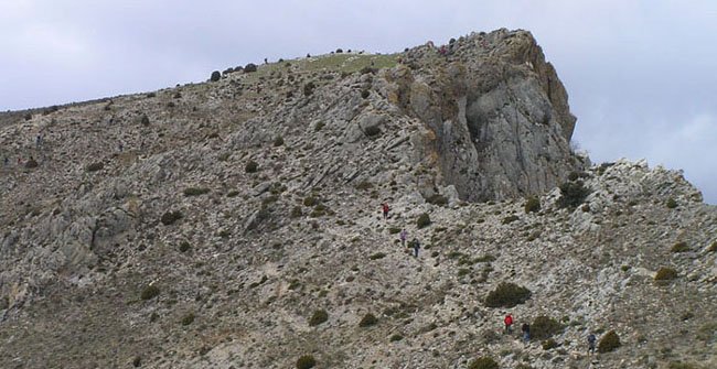 Cima